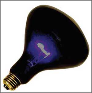 15w high intensity fluorescent black light bulbs