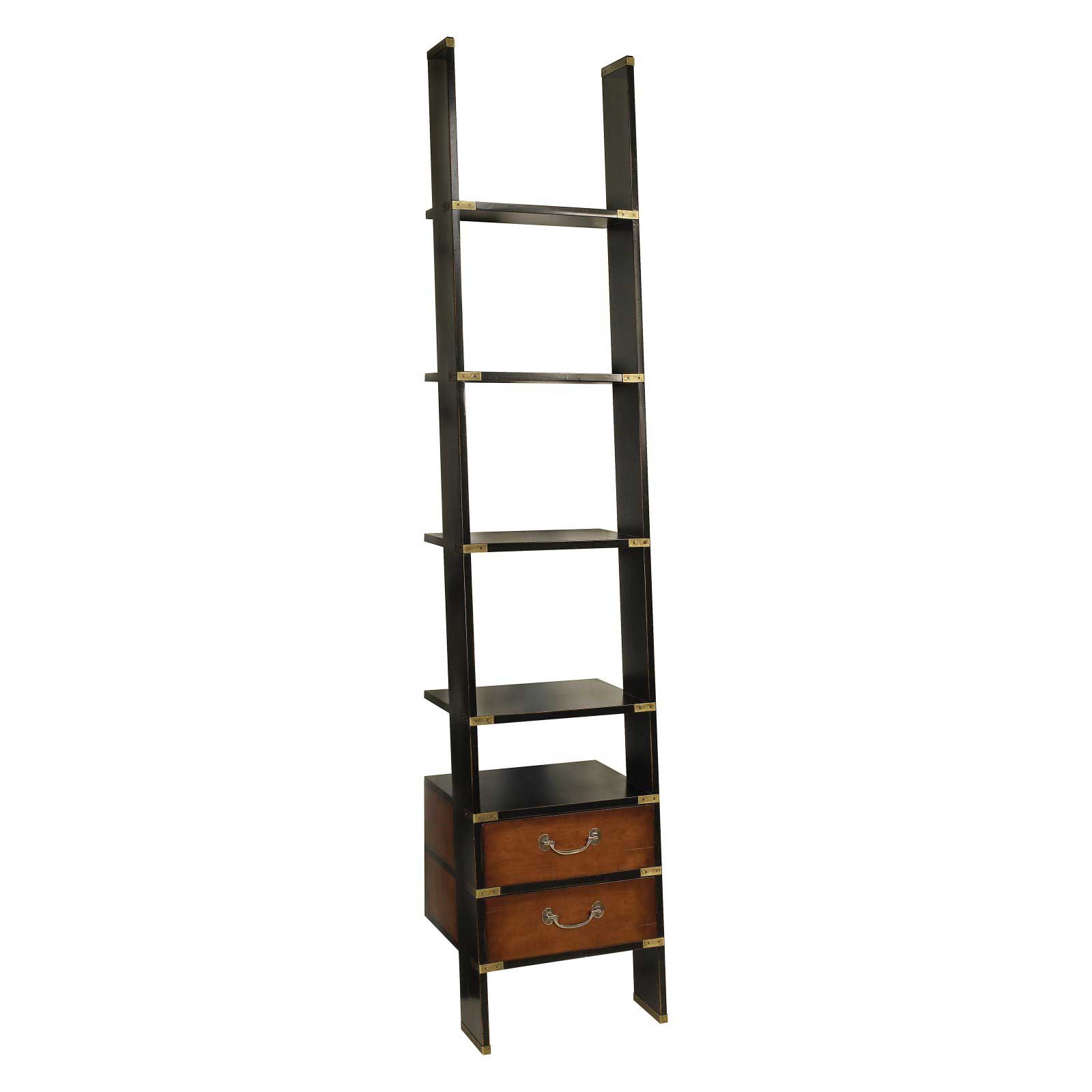 Library Ladder with Shelves